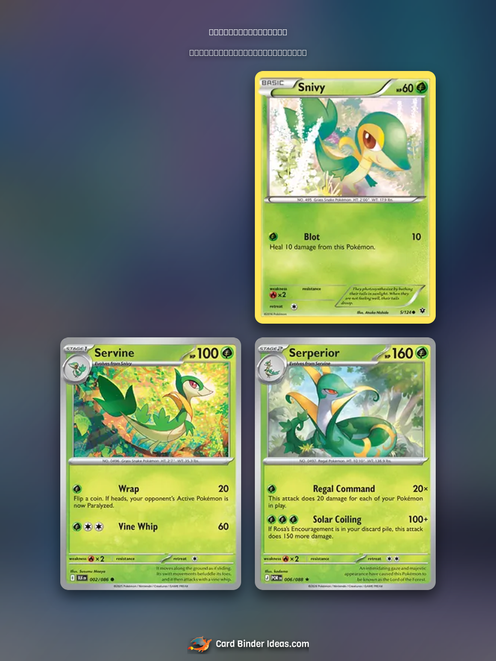 Favorites Binder. Michi Method Pokémon card binder idea by @no1clobbopusfan_dess.